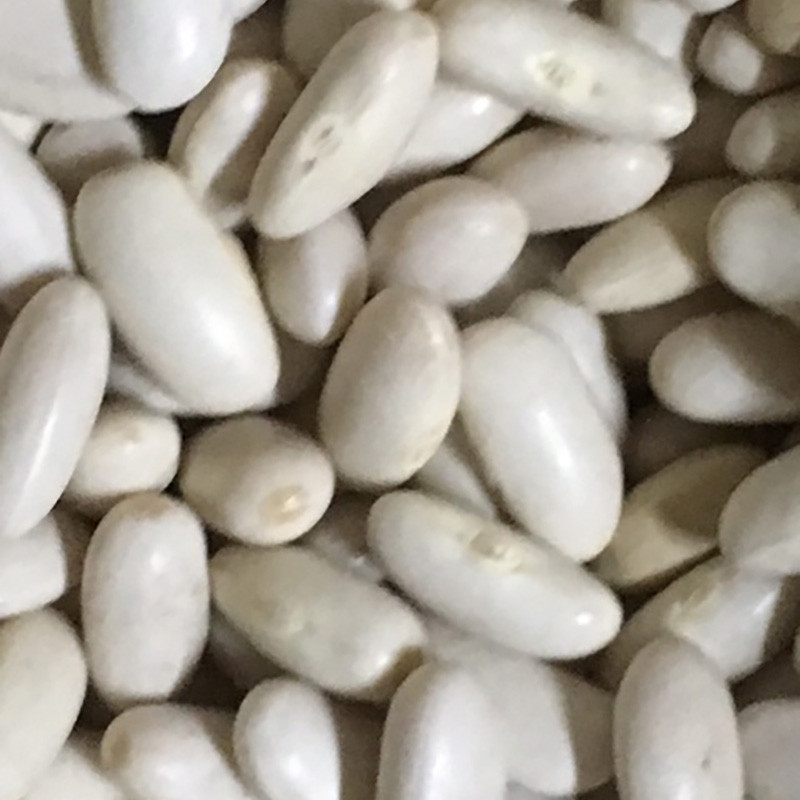 ALUBIA (RIÑÓN) CANELLINI GRANEL